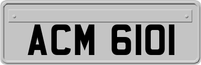 ACM6101