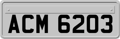 ACM6203
