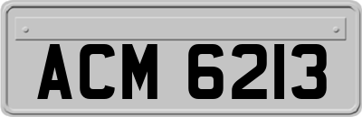 ACM6213