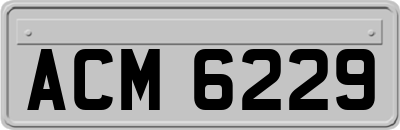 ACM6229