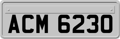 ACM6230