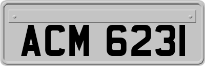 ACM6231