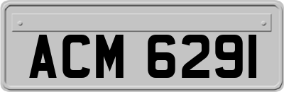 ACM6291