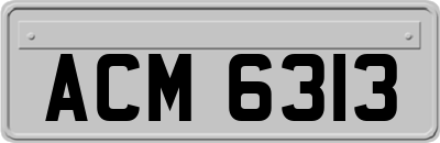 ACM6313