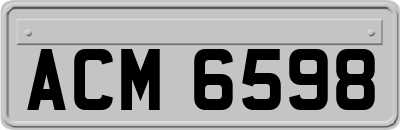 ACM6598