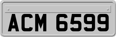 ACM6599