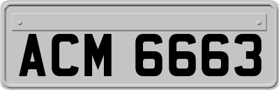 ACM6663