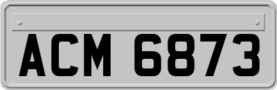 ACM6873