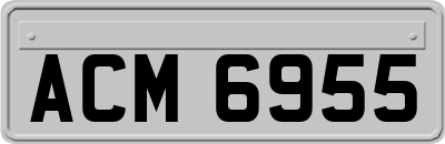 ACM6955
