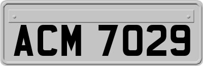 ACM7029