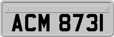 ACM8731