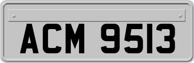 ACM9513
