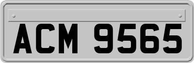 ACM9565