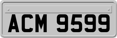 ACM9599