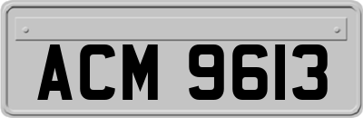 ACM9613