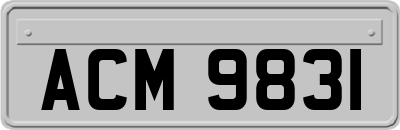 ACM9831