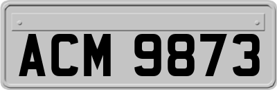 ACM9873