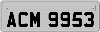 ACM9953