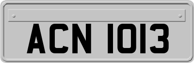 ACN1013