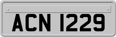 ACN1229
