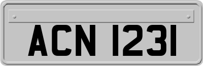 ACN1231