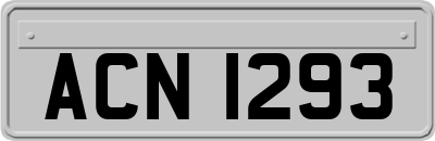 ACN1293