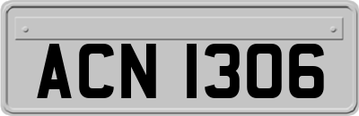 ACN1306