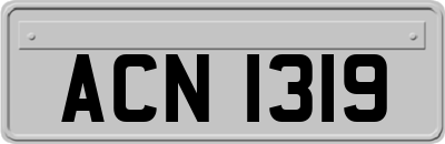 ACN1319