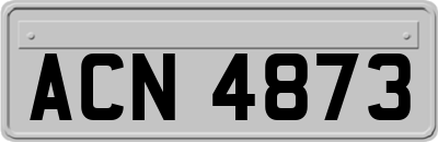 ACN4873