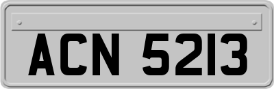 ACN5213