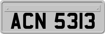 ACN5313