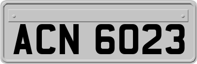 ACN6023
