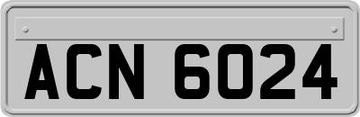 ACN6024