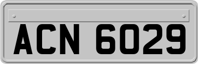 ACN6029