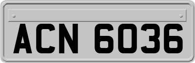 ACN6036