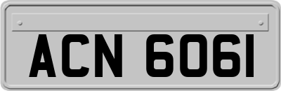 ACN6061