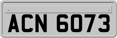 ACN6073
