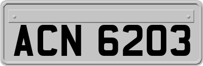 ACN6203