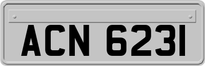 ACN6231