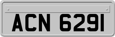 ACN6291