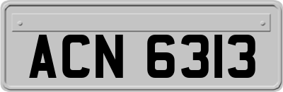 ACN6313
