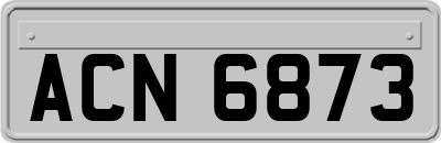 ACN6873