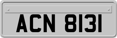 ACN8131