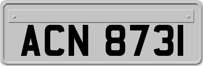 ACN8731
