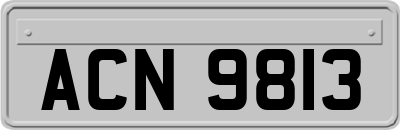 ACN9813