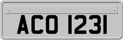 ACO1231