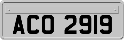 ACO2919