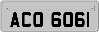 ACO6061