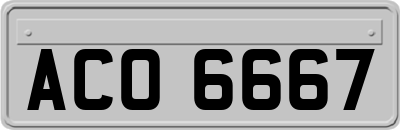 ACO6667