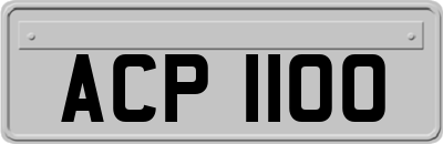 ACP1100